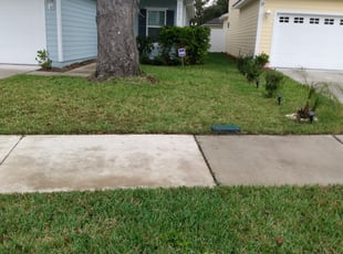 Bush Trimming by Julius White for Erin F. in Jacksonville, FL