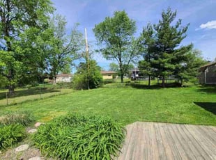 Victor L.'s Yard Cutting service result