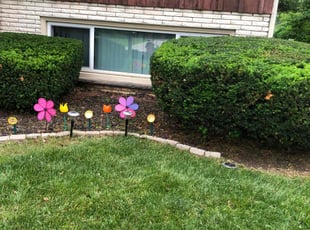 Bush Trimming by Domingo Cansino for Aileene C. in Milwaukee, WI
