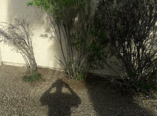 Cleanups by AysLs @YourService for Steve M. in Scottsdale, AZ