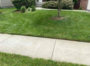 Jacquelyn P.'s Lawn Care service result