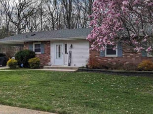 Lorraine M.'s Yard Cutting service result