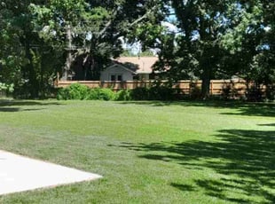 Shirley L.'s Lawn Mowing service result