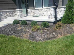 Bush Trimming by Julio Almestica for Jay W. in Lee's Summit, MO