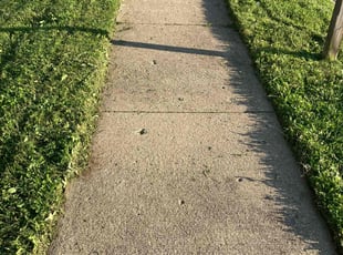 Zach R.'s Lawn Care service result