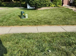 Lydia M.'s Lawn Maintenance service result