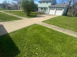 Michael N.'s Lawn Mowing Service service result
