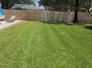 Donna H.'s Lawn Care service result