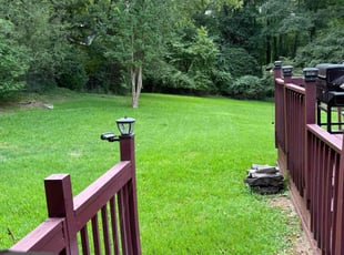 Tricia S.'s Lawn Service service result