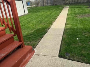 Ana R.'s Lawn Service service result