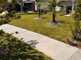 Sandy R.'s Lawn Mowing Service service result