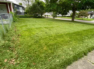 Joan B.'s Lawn Care service result