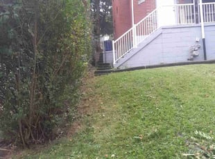Bush Trimming by Jennifer Frain for Nafisa M. in Pittsburgh, PA