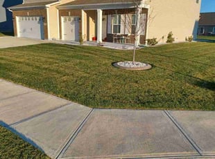 Bill C.'s Lawn Mowing service result