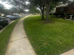 Tamara H.'s Yard Cutting service result