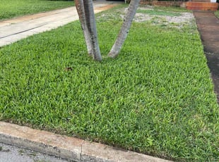 Kathleen K.'s Lawn Care service result