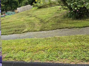 Austin W.'s Lawn Mowing Service service result