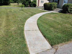 Benjamin H.'s Lawn Mowing service result