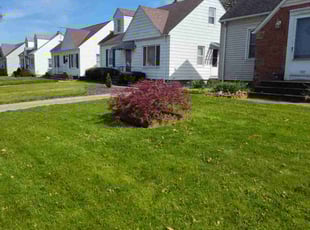 Bush Trimming by Rayshawn Martin for Edward M. in Garfield Heights, OH