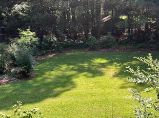 Stephen C.'s Lawn Care service result
