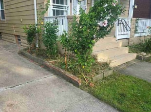 Bush Trimming by Darnell Stribling for Corey L. in Cleveland, OH