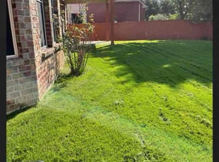 Holly M.'s Lawn Mowing service result