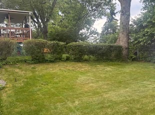 Bush Trimming by Jaquayla Gilmore for Janice D. in Pittsburgh, PA
