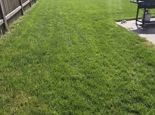 Sandra G.'s Lawn Care service result