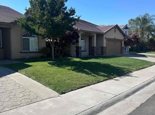 Angelina G.'s Grass Cutting service result