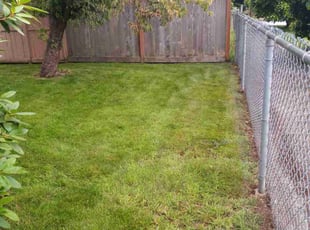 Susan K.'s Yard Cutting service result