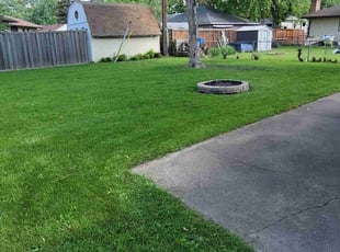 Erica G.'s Grass Cutting service result