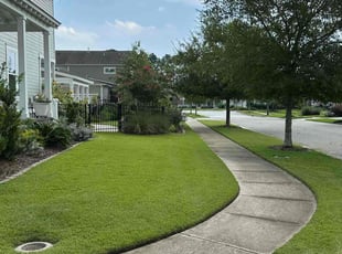 Andrei B.'s Lawn Maintenance service result