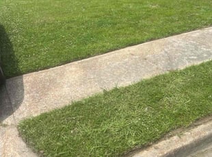 Margaret D.'s Lawn Mowing Service service result
