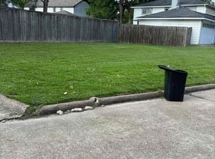 Lindsey K.'s Lawn Mowing service result