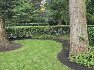 Heath H.'s Lawn Maintenance service result