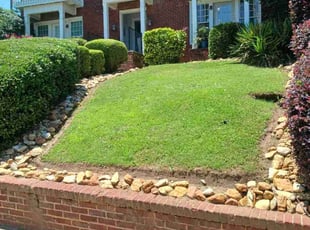 Sarah T.'s Yard Cutting service result