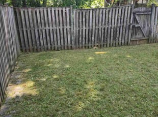 Joshua M.'s Lawn Maintenance service result
