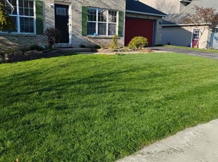 Dominique M.'s Lawn Mowing service result