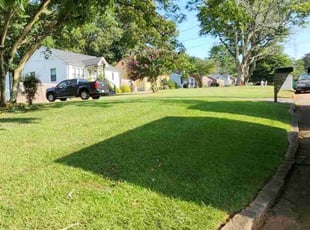 Felicia D.'s Lawn Care service result