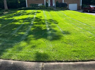 Thomas B.'s Lawn Maintenance service result