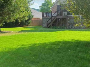 Melody B.'s Grass Cutting service result