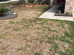 Leaf Removal by Chaes Pate for Angel H. in San Antonio, TX