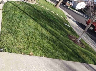 Rozella M.'s Lawn Care service result