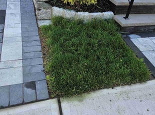 Chrissy P.'s Lawn Care service result