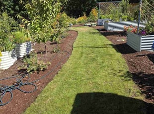 Cody H.'s Lawn Service service result