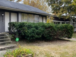 Bush Trimming by Joe Jackson for Cynthia W. in Grandview, MO