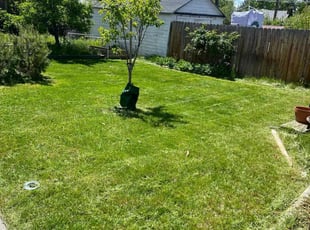 Denise R.'s Lawn Maintenance service result