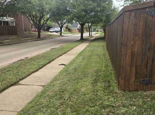 Chris M.'s Lawn Maintenance service result