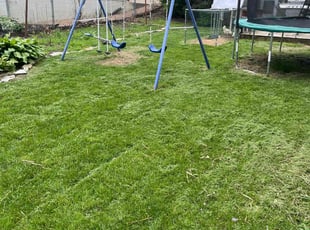 Lisa S.'s Lawn Mowing service result