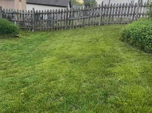 Todd E.'s Lawn Mowing service result